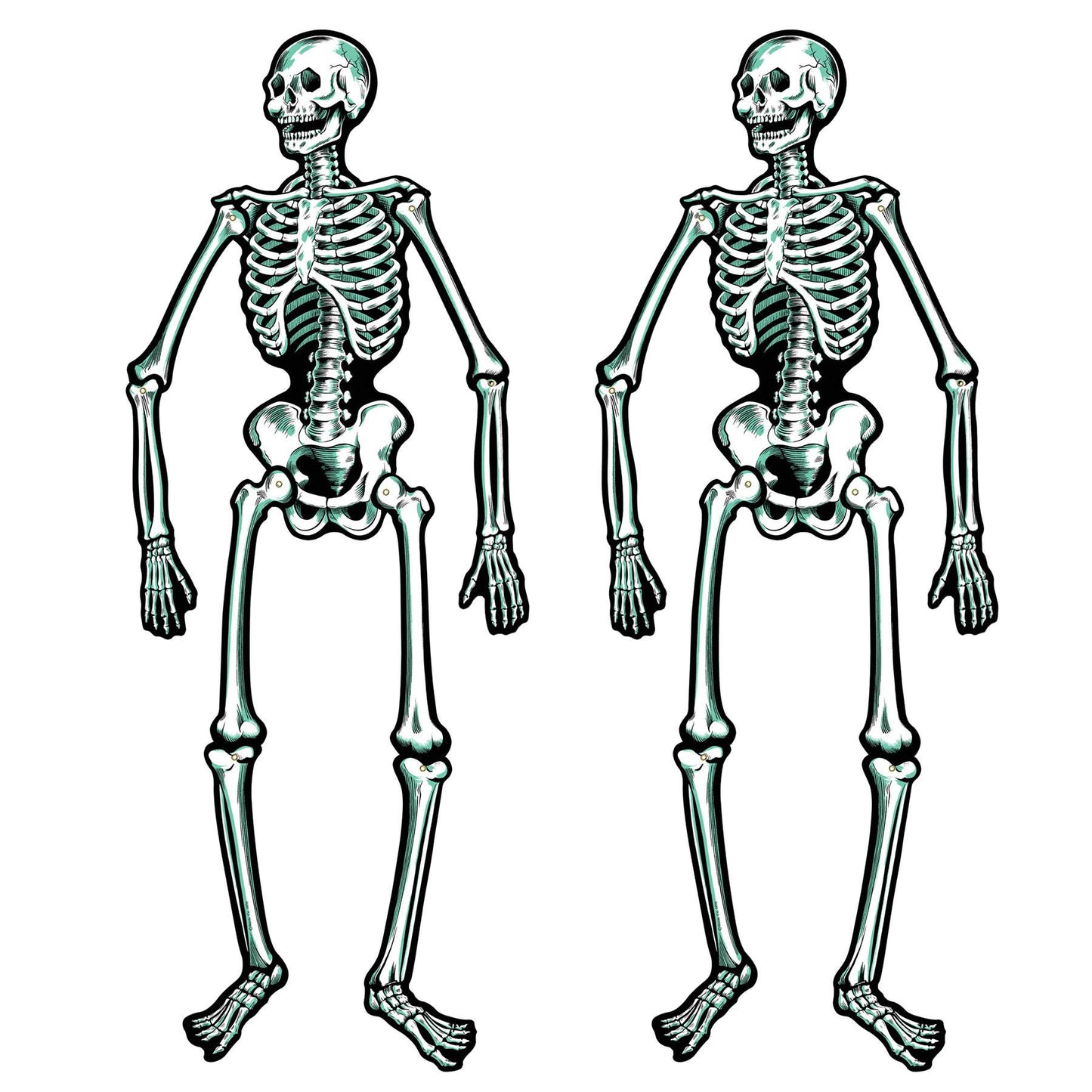 Jointed Cardstock Skeletons (Pack of 2 - 22"H)