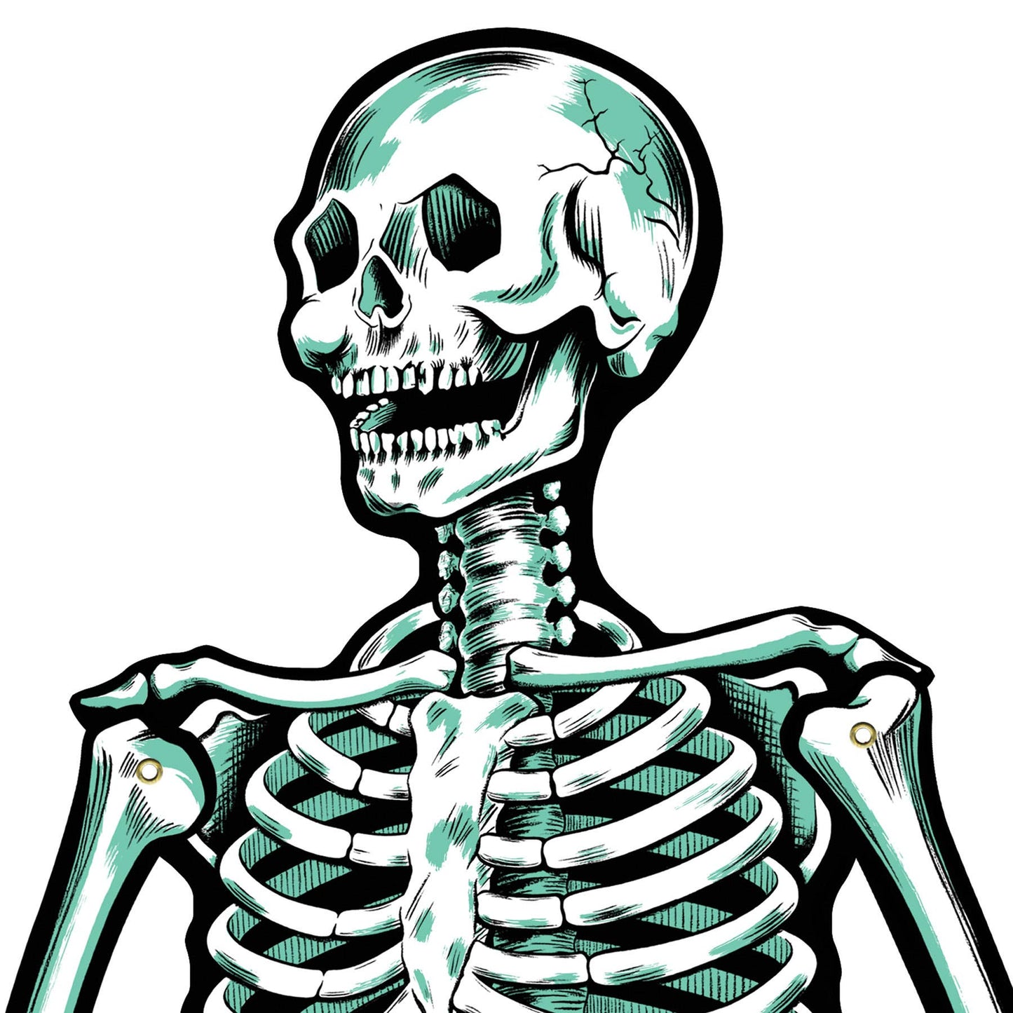 Jointed Cardstock Skeletons (Pack of 2 - 22"H)