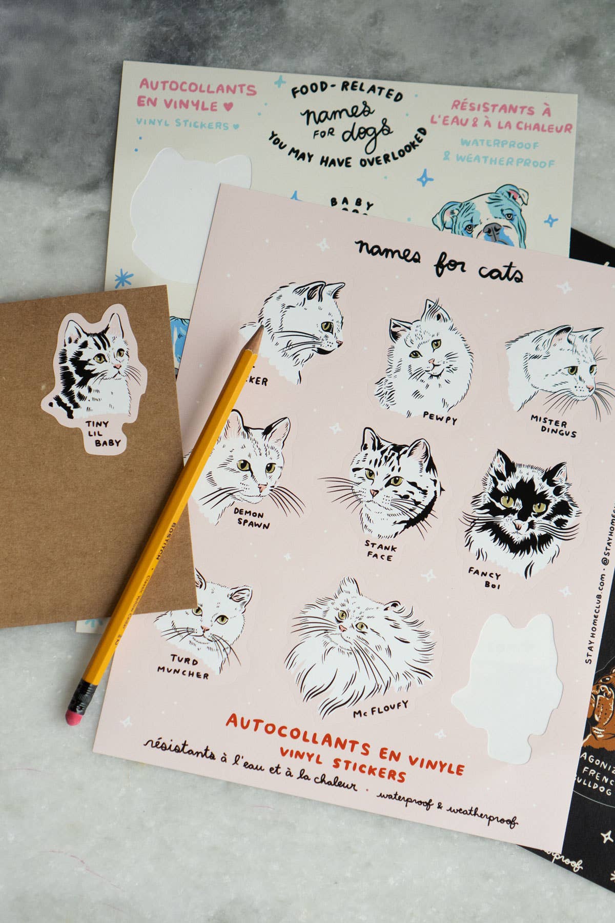 Names for Cats Mega 8" x 10" Vinyl Sticker Sheet