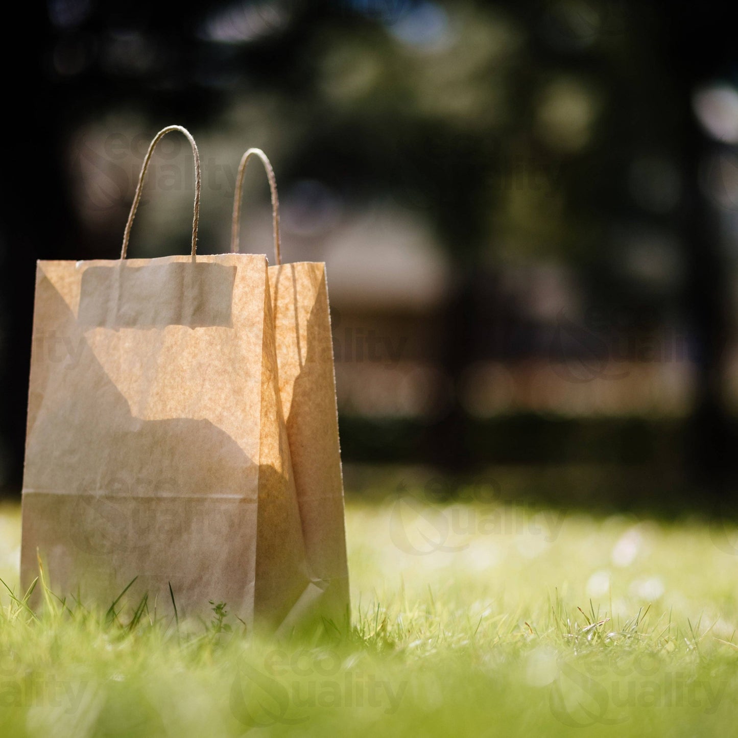 10x5x13 Medium Kraft Paper Gift Bags w/Twine Handles Brown: 200pcs