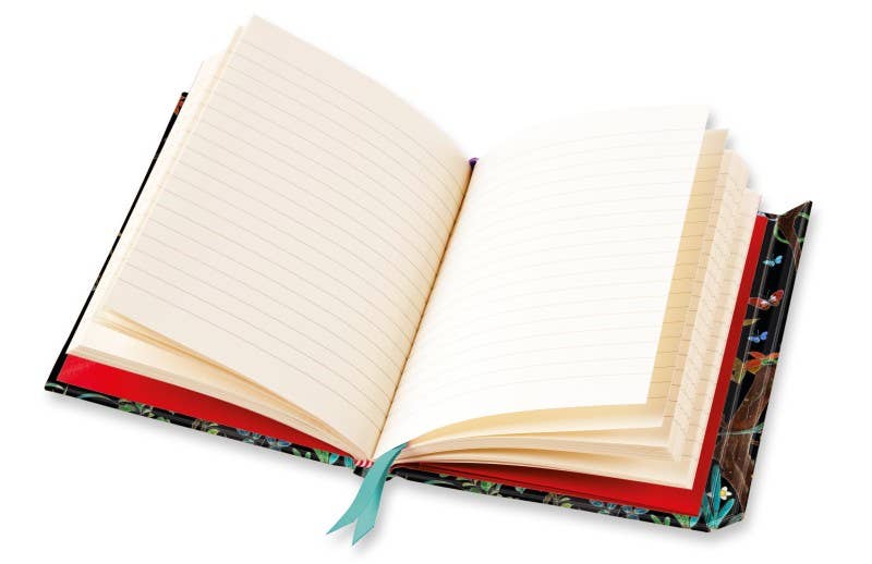 Ashmolean Museum: Cloisonne Casket With Flowers Journal