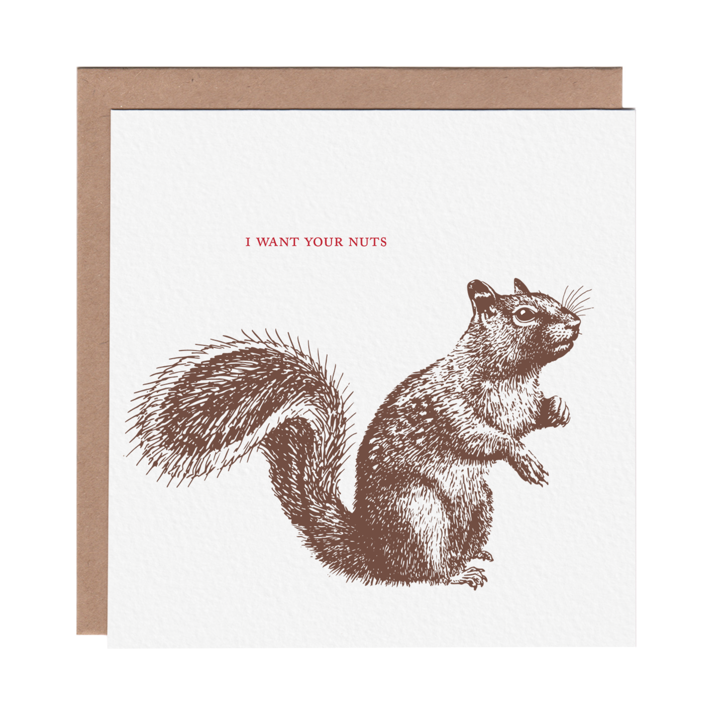 I Want Your Nuts Squirrel Card