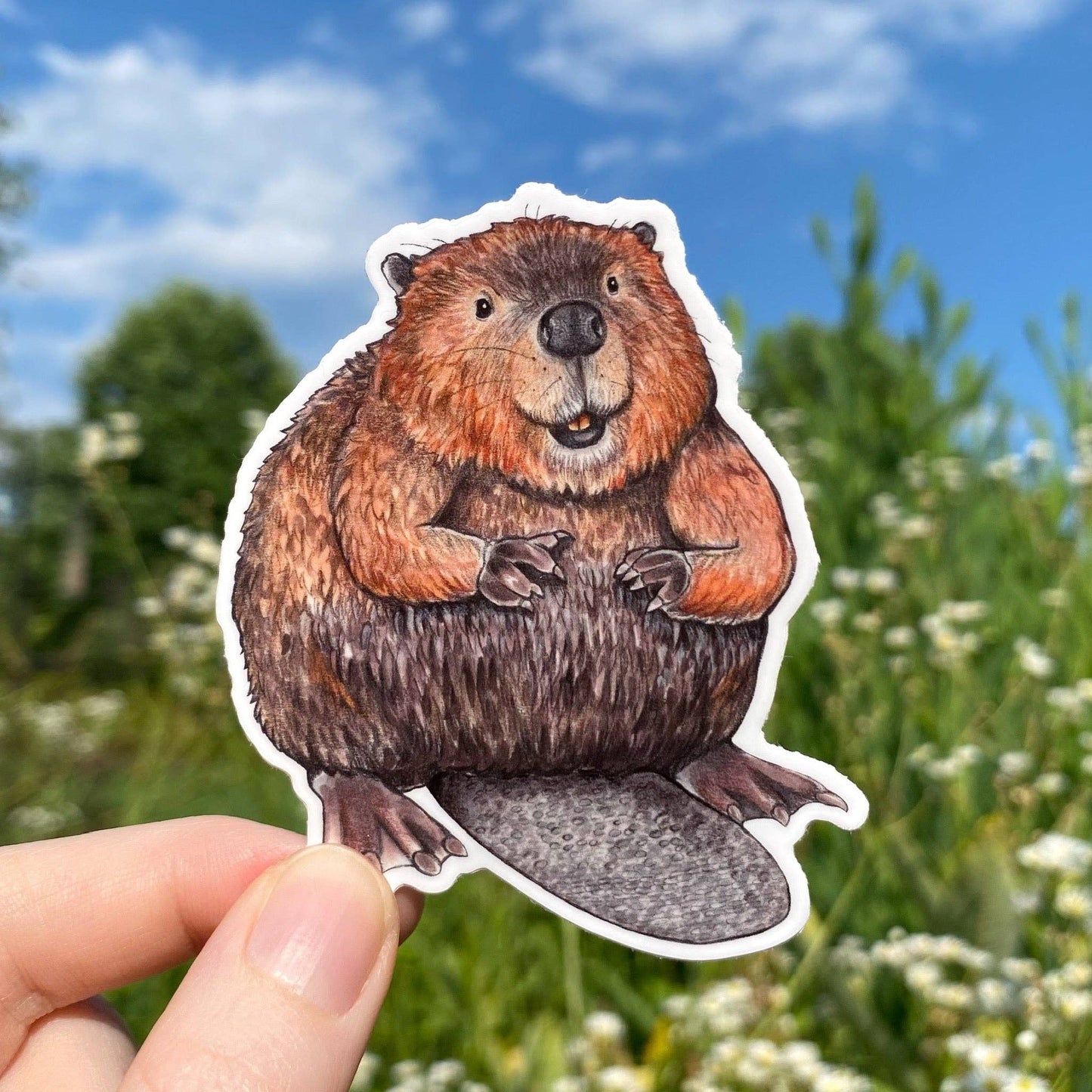 American Beaver Sticker
