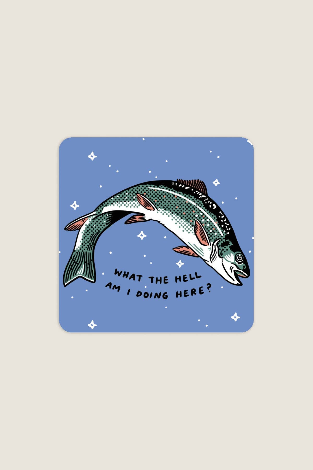 What The Hell Sticker | Waterproof Vinyl Sticker