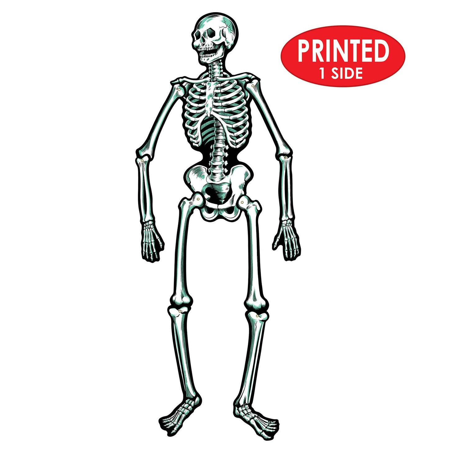 Jointed Cardstock Skeletons (Pack of 2 - 22"H)