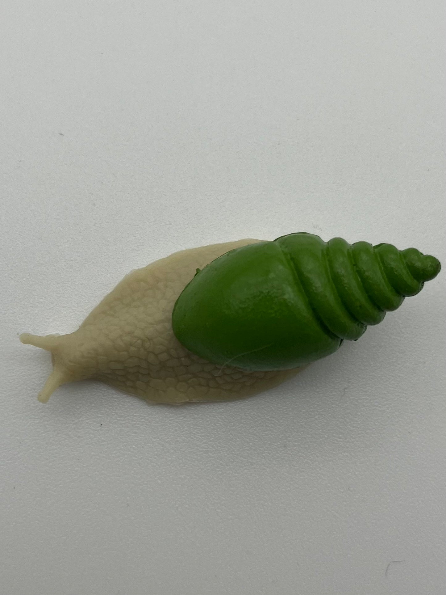 Itty Bitty Snail