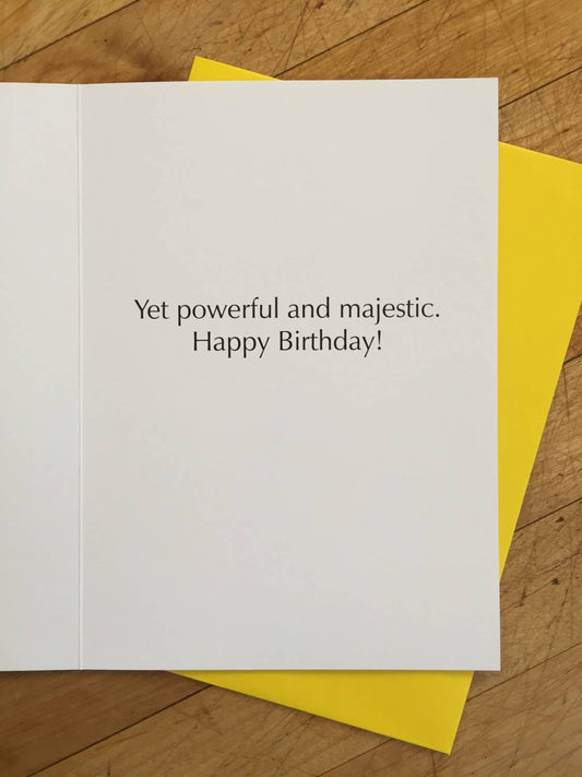 Bald And Majestic Birthday Card - The Regal Find