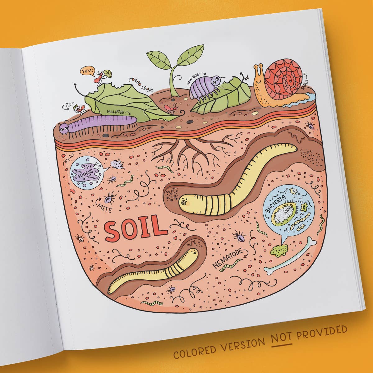 What's Inside Garden Coloring