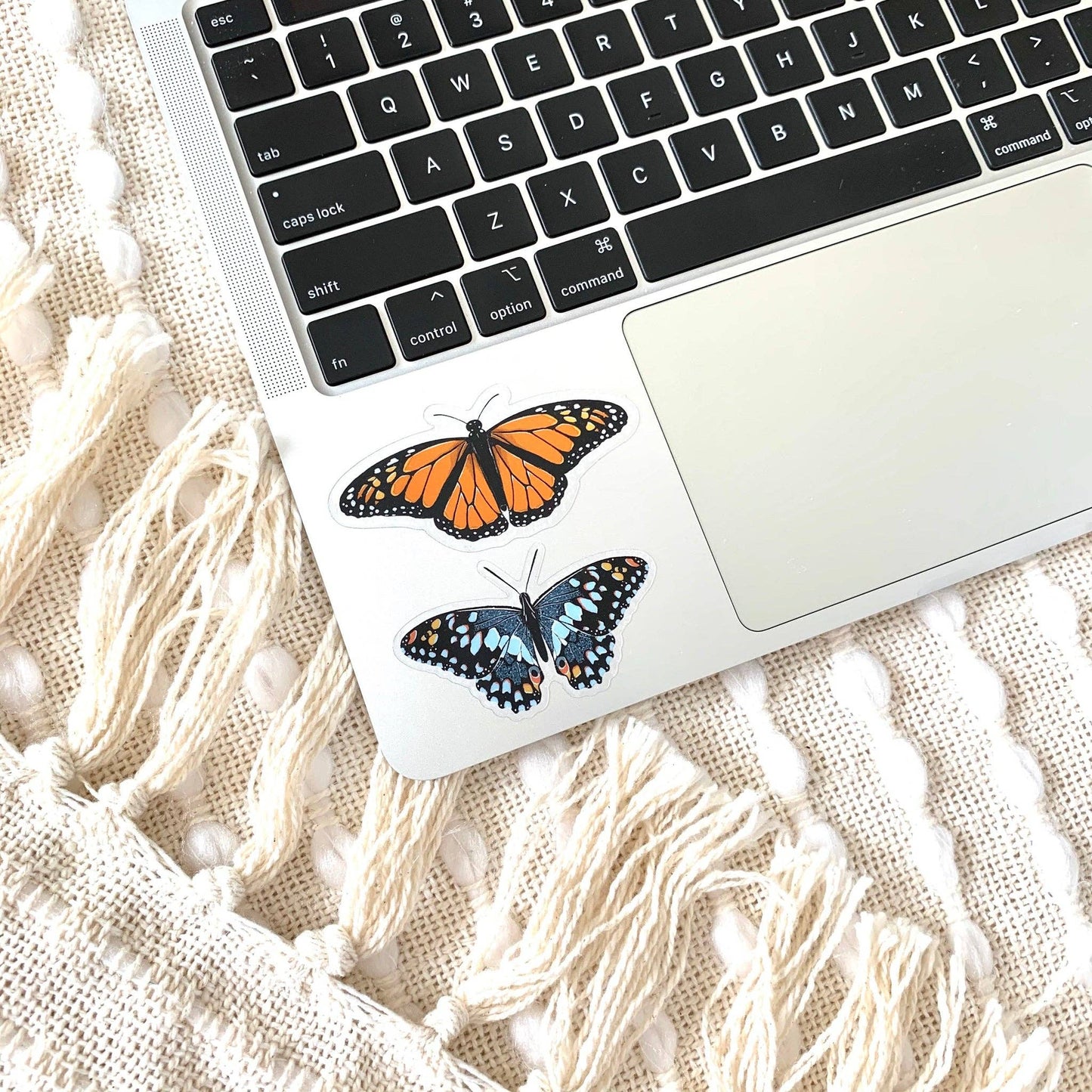 Clear Blue Speckled Butterfly Sticker, 2.5x1.5in - The Regal Find