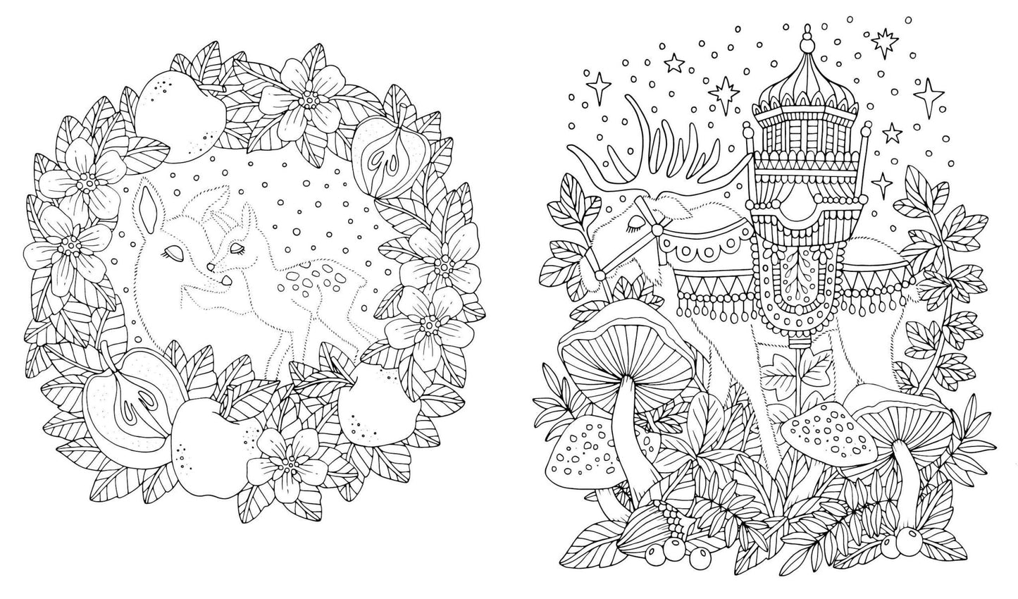 Fairy Tales & Folklore Coloring Book - The Regal Find