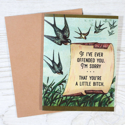 I'm Sorry If You're Offended (You're a Little Bitch) - The Regal Find