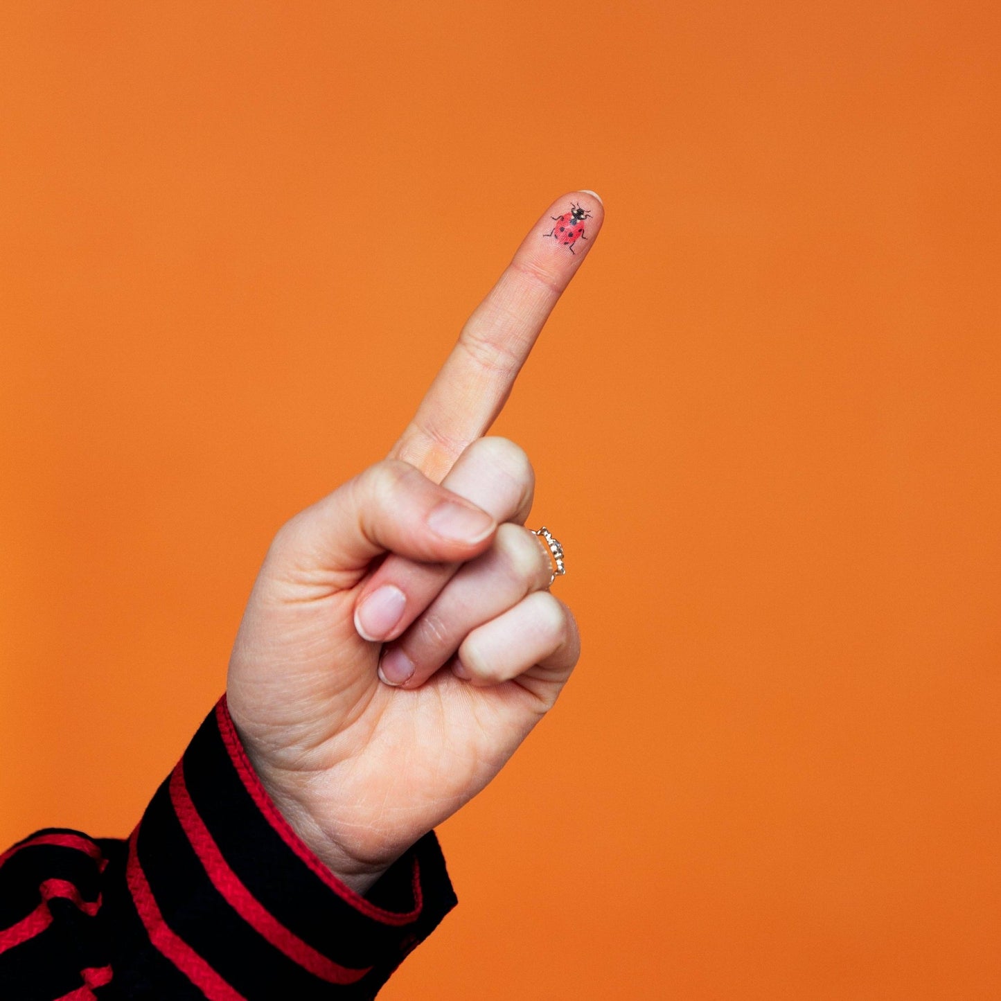 Ladybugs Tattoo Pair - The Regal Find