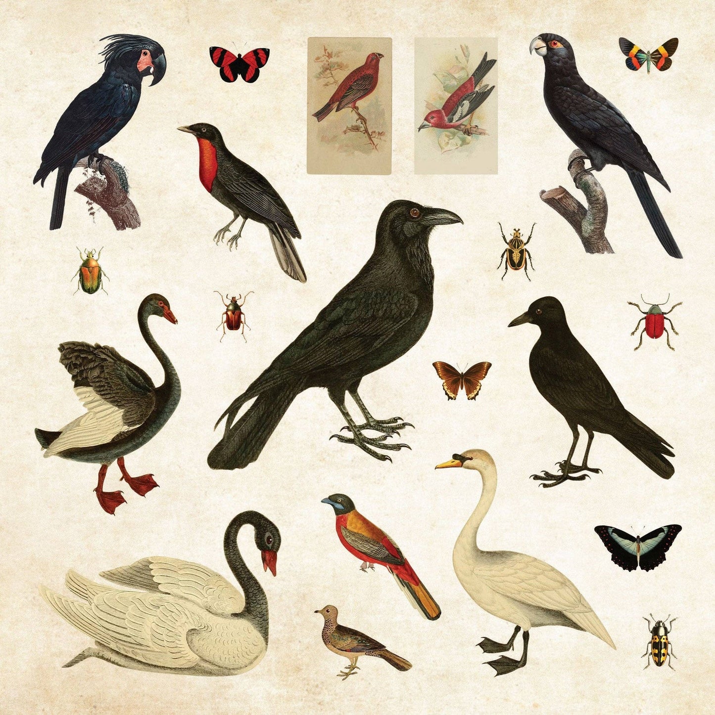Mystical Ephemera! An Enchanting Vintage Sticker Book - The Regal Find