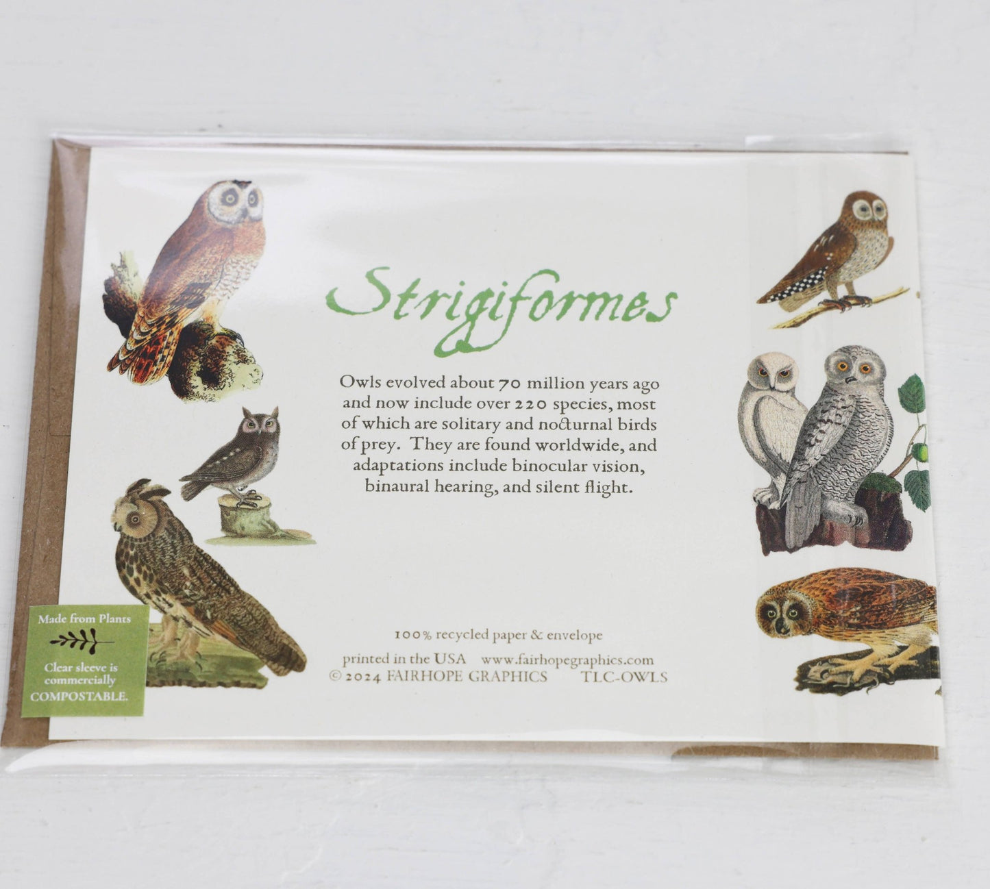 Owls Card - The Regal Find