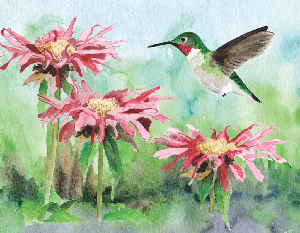Ruby - throated Hummingbird Mini - 100 Piece Mini Puzzle - The Regal Find