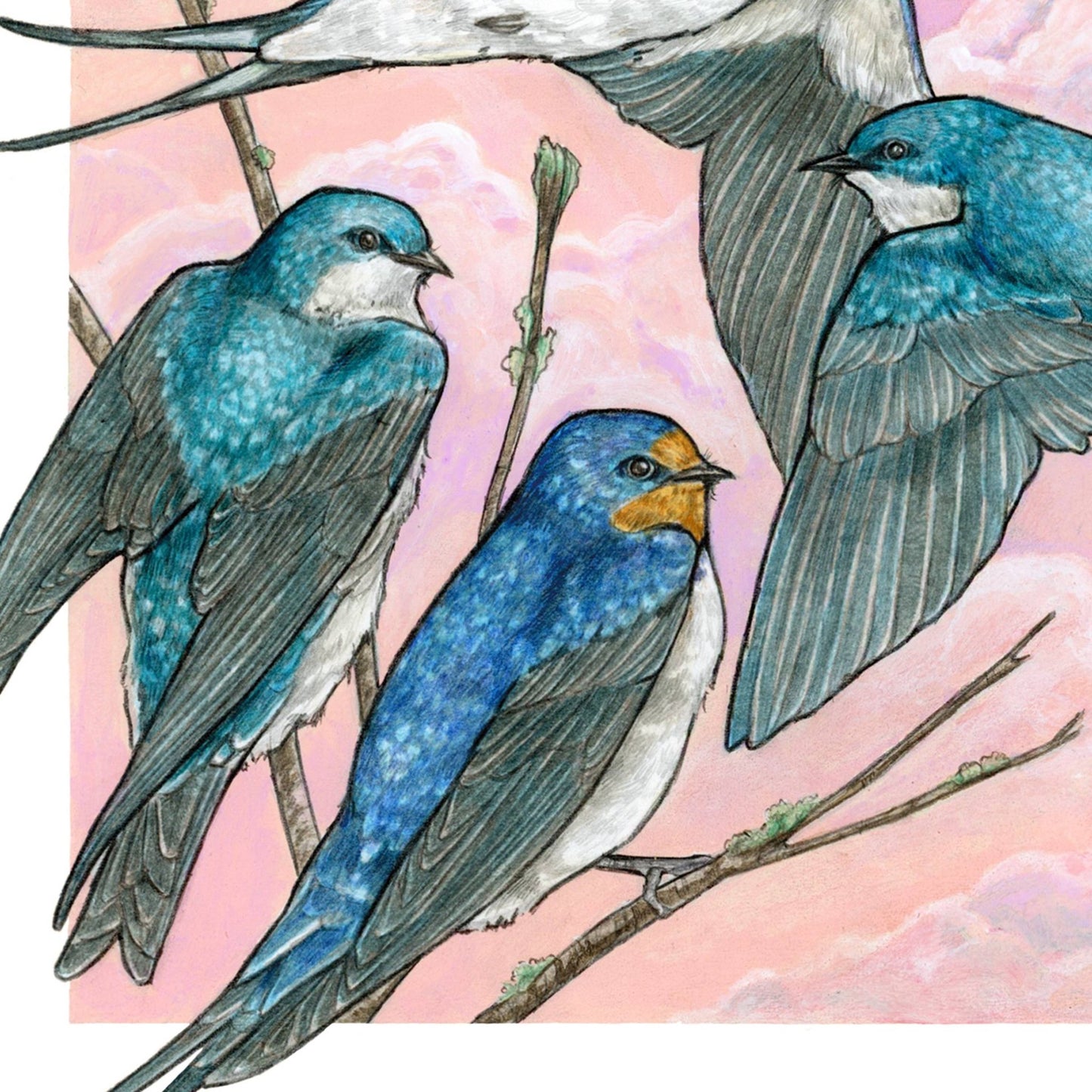 A Flight of Swallows - Archival Print: 8x10" - The Regal Find