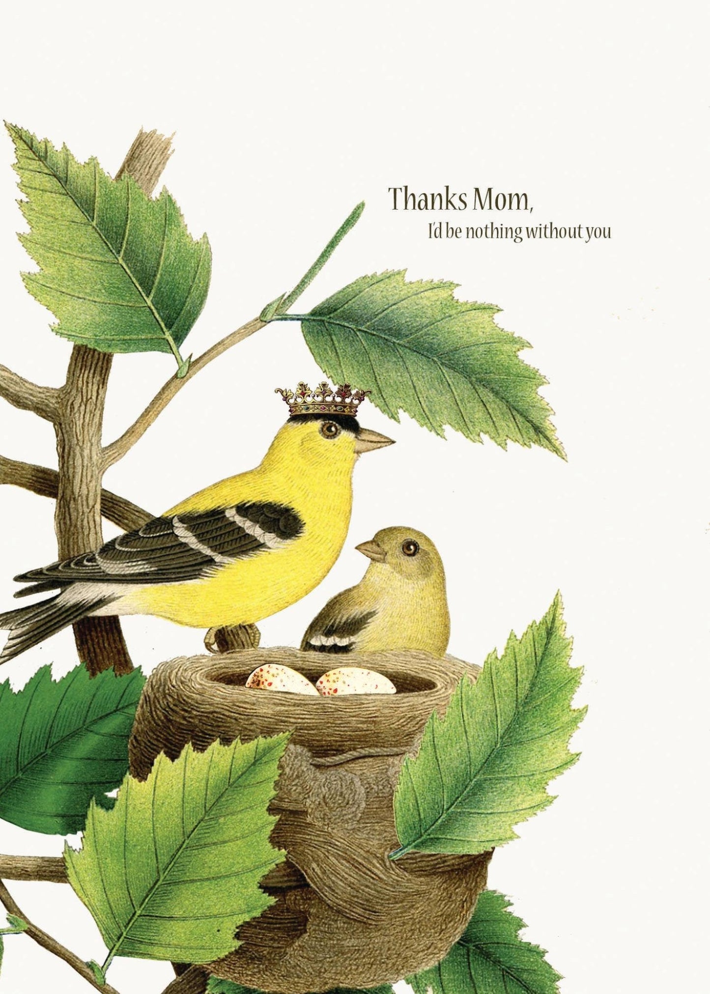 Thanks Mom, I'd be nothing without you - The Regal Find