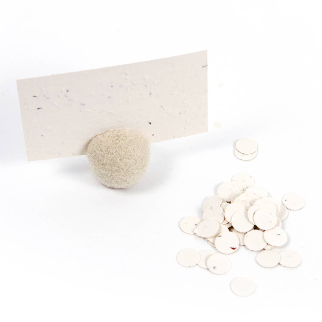 Wildflower Seed Cards: Mint - The Regal Find