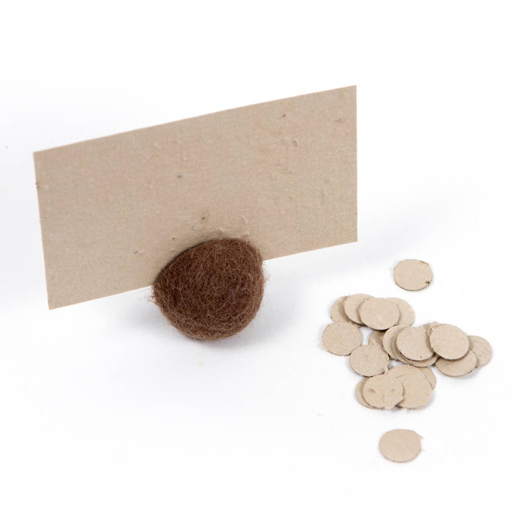 Wildflower Seed Cards: Mint - The Regal Find