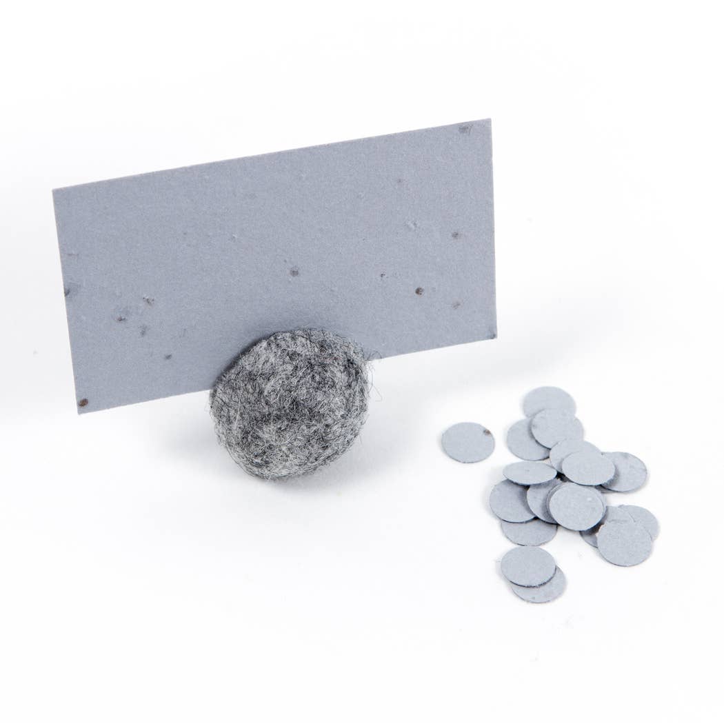 Wildflower Seed Cards: Mint - The Regal Find