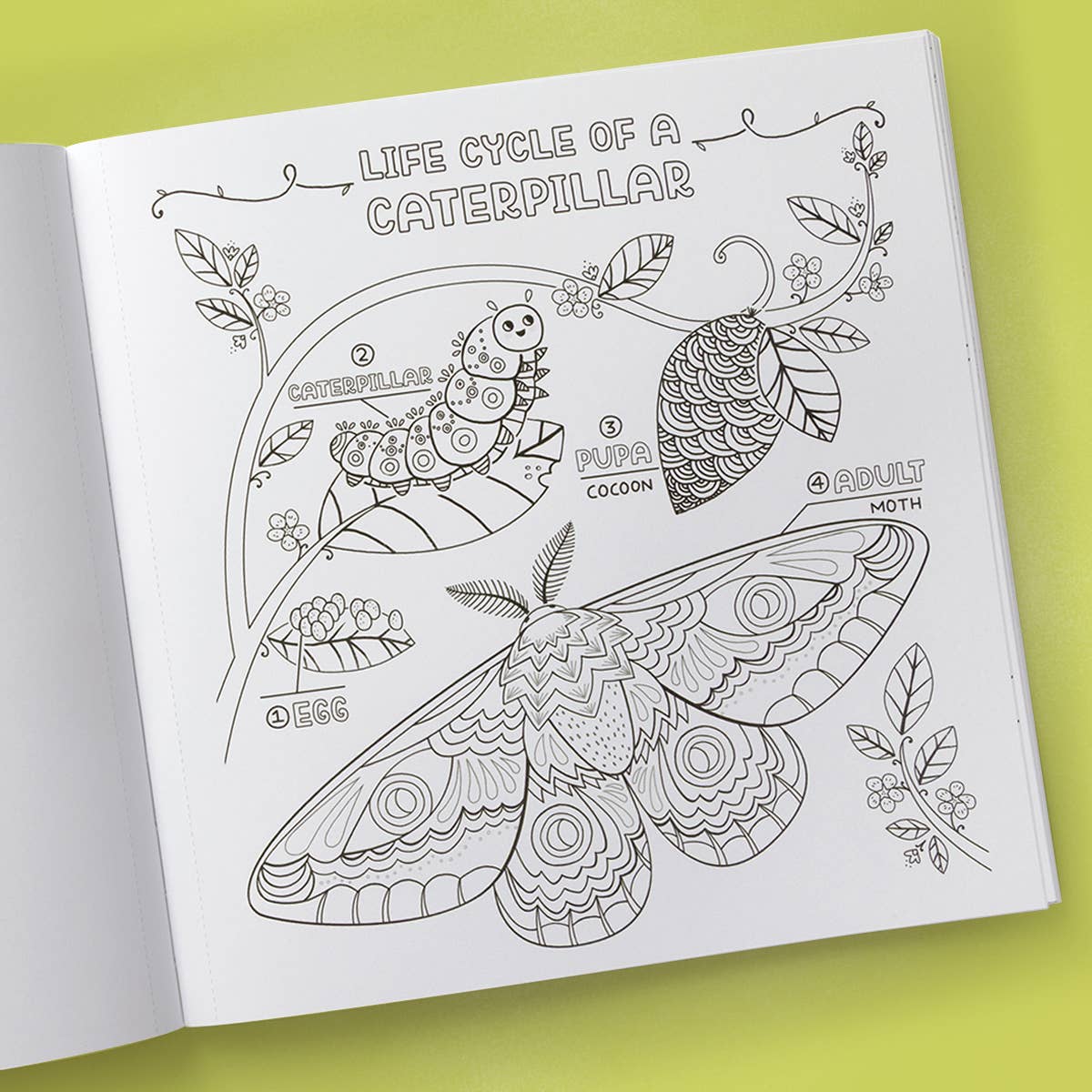 What's Inside Garden Coloring