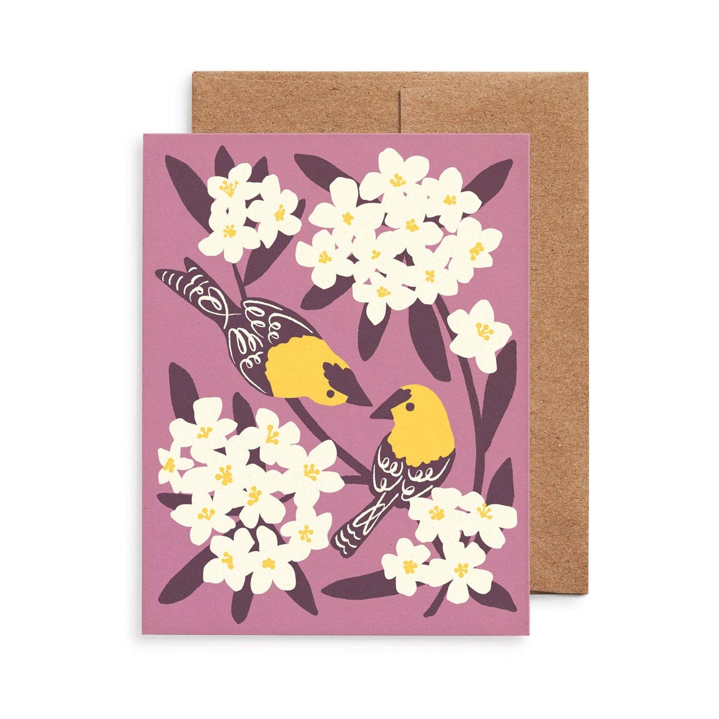 Birds & Botanicals Greeting Card Set: Original Art, Set of 8: Set of 8