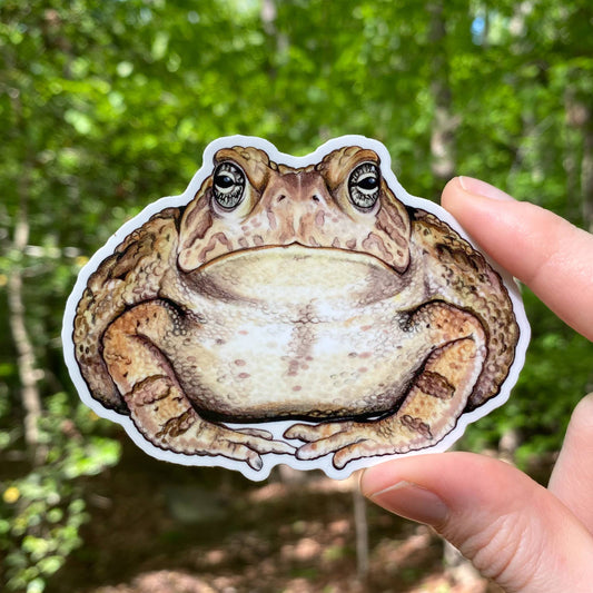 Fowler's Toad Sticker