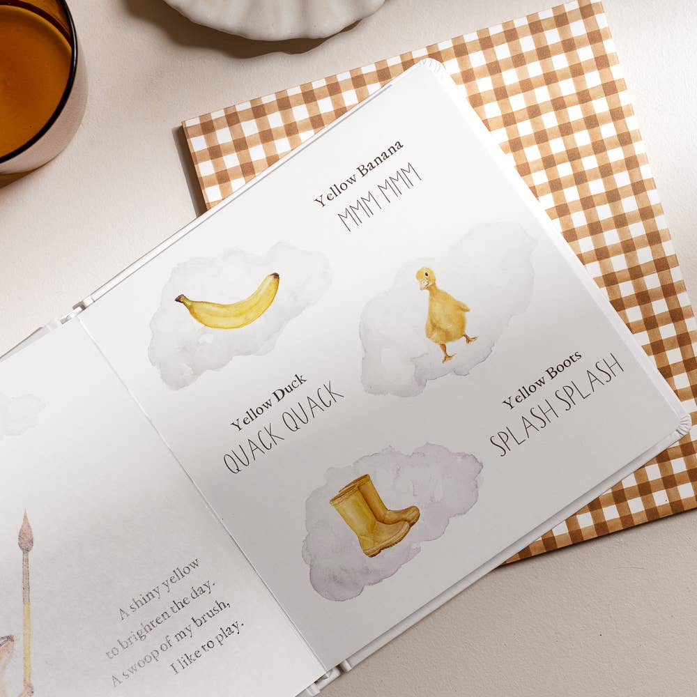 Wishy Washy Board Book by Tabitha Paige