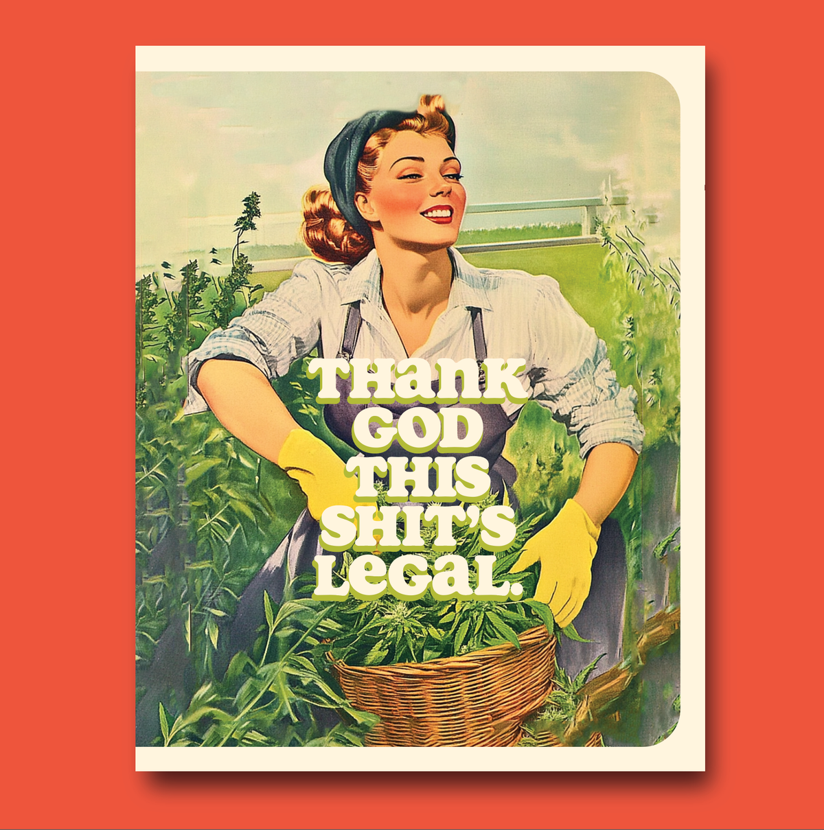 THIS SHIT'S LEGAL!