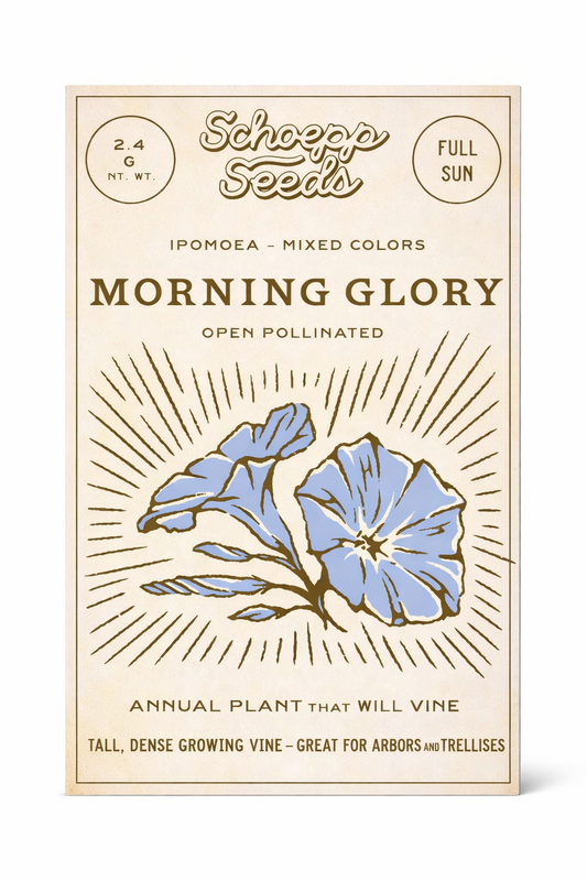 Morning Glory, Heirloom Garden Seed Packets