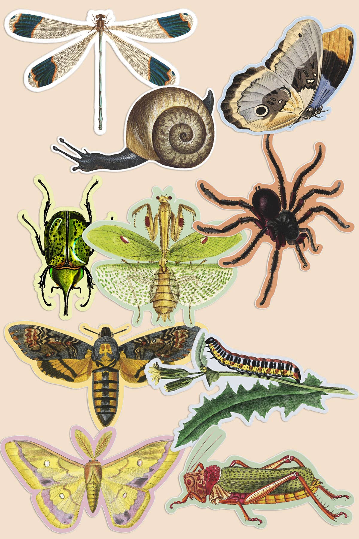 Vintage Art Stickers Bird World