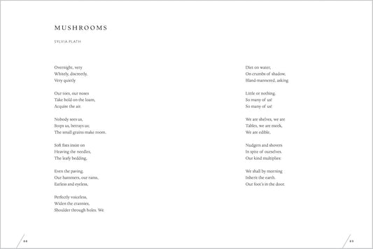Poem about mushrooms on a white background