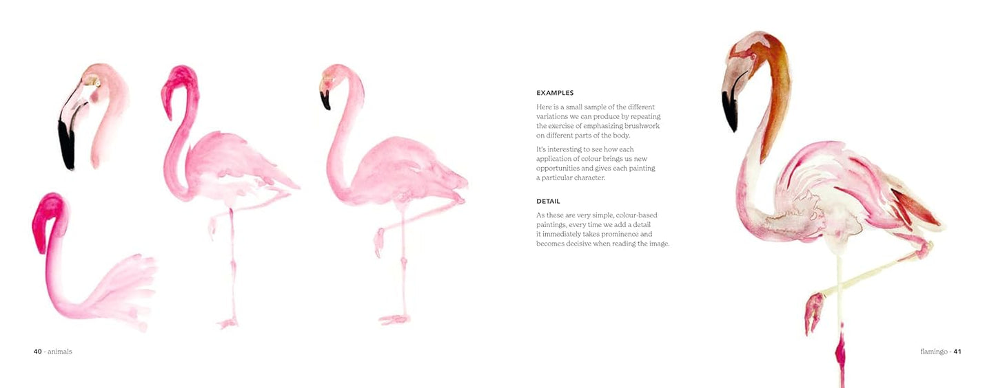 Illustrations of pink flamingos on a white background