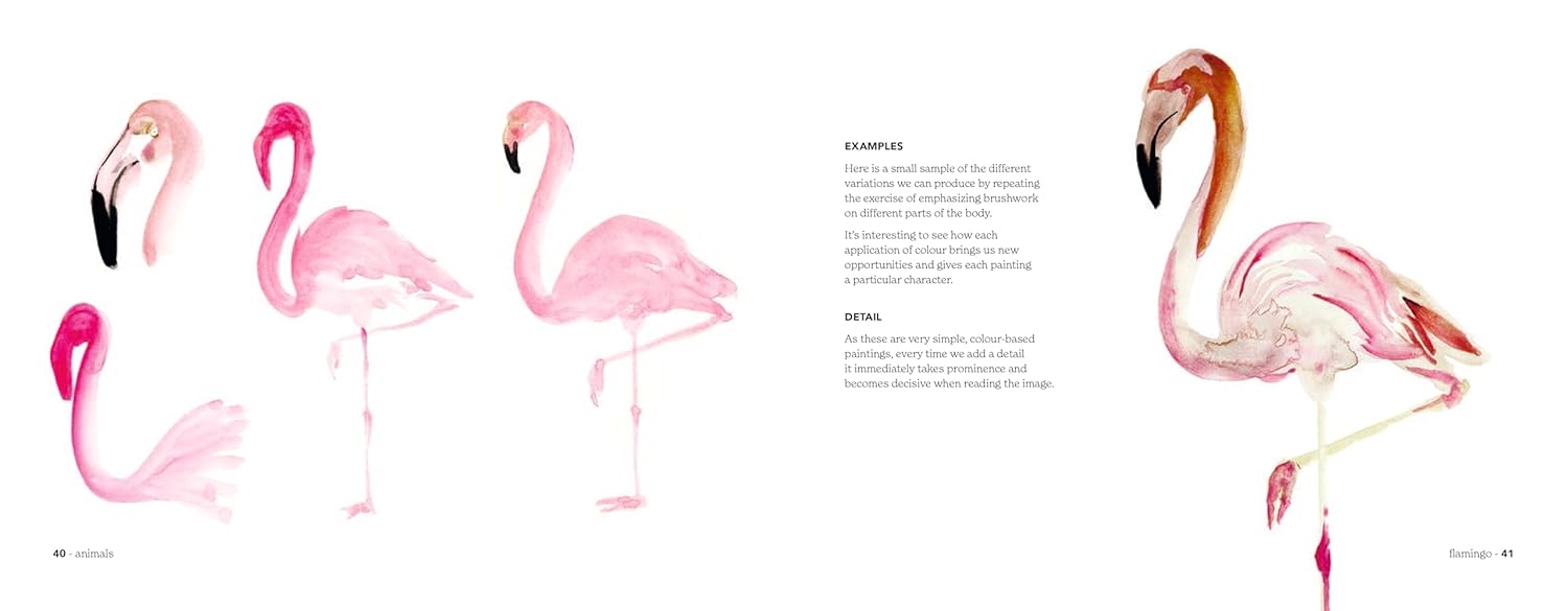 Illustrations of pink flamingos on a white background