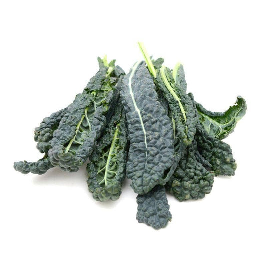 Kale, Lacinato Heirloom Garden Seed Packets: Kale, Lacinato Seed Packets