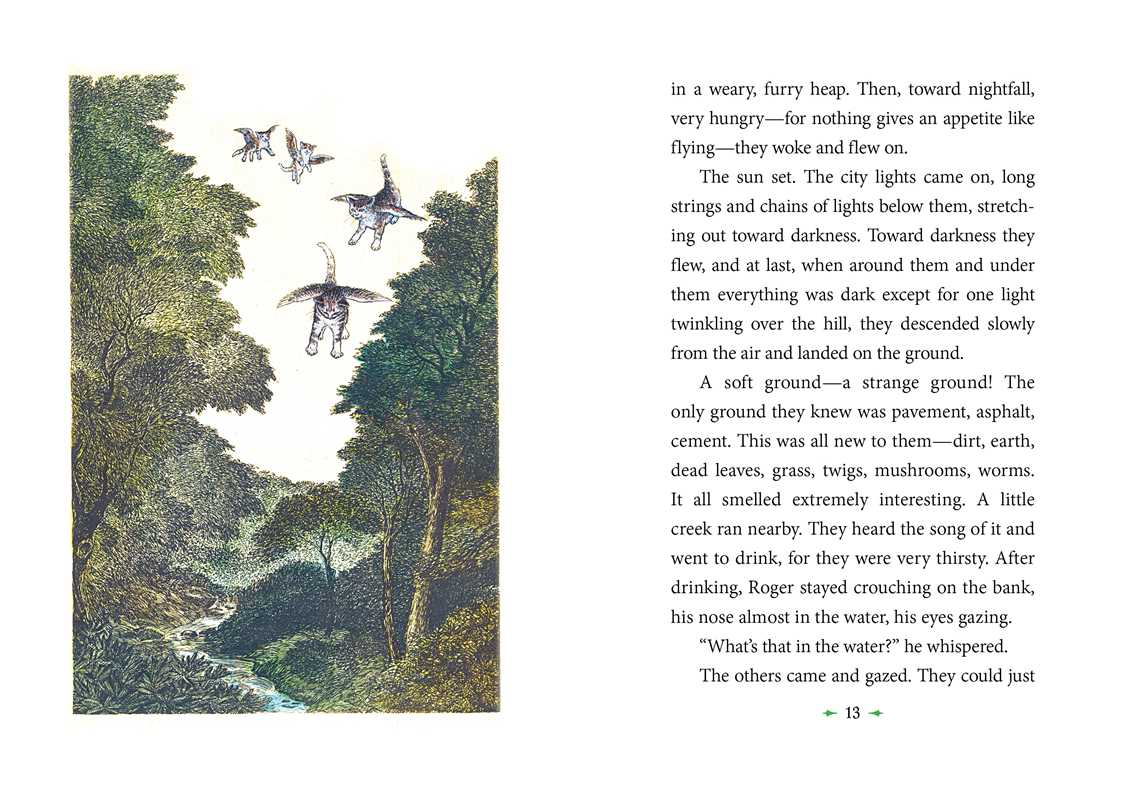 Page from a book with a colorful illustration of a forest scene on the left and text on the right.