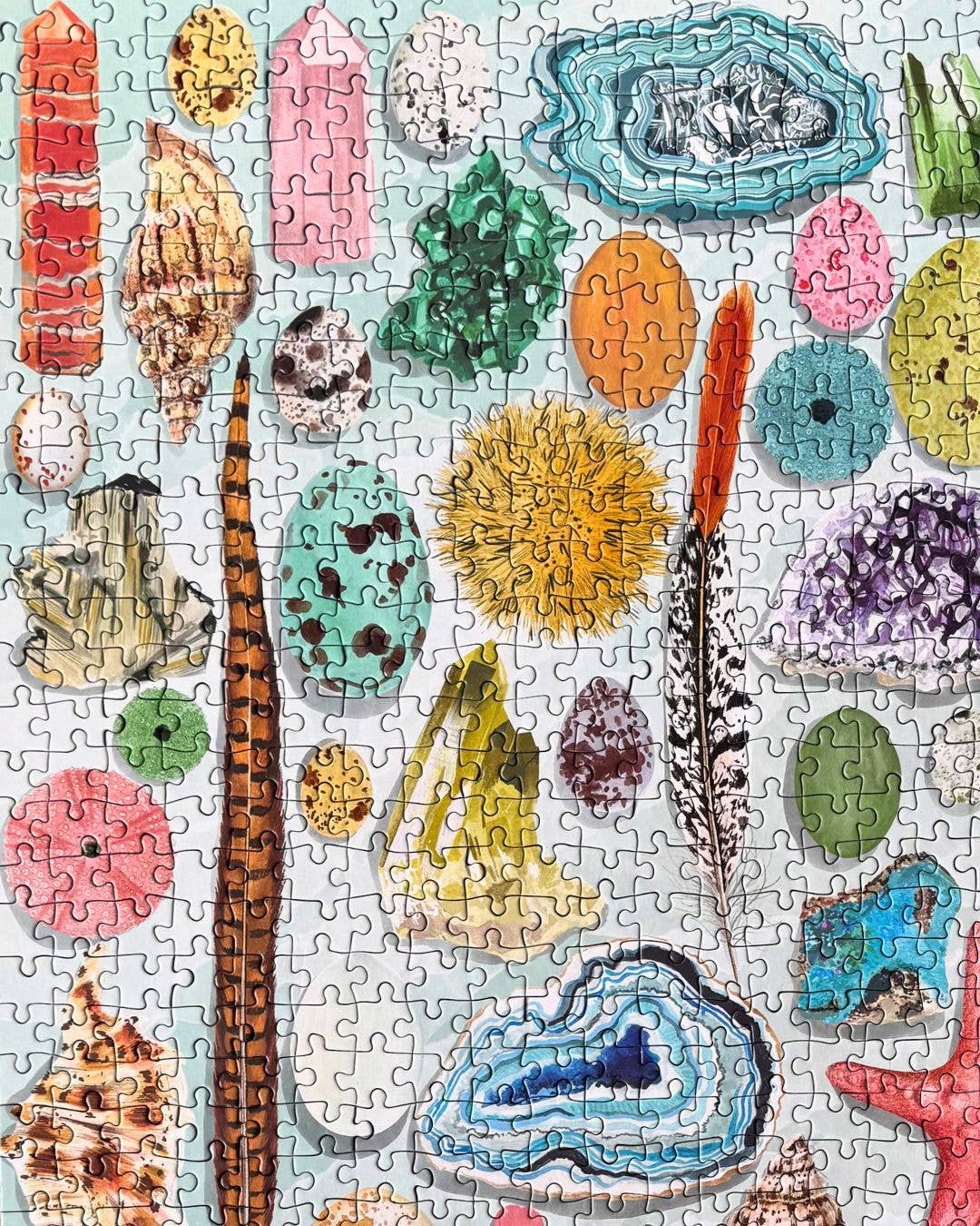 The Art File Natural Curiosities 1000 Piece Jigsaw Puzzle