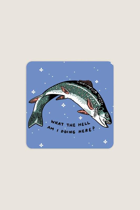 What The Hell Sticker | Waterproof Vinyl Sticker