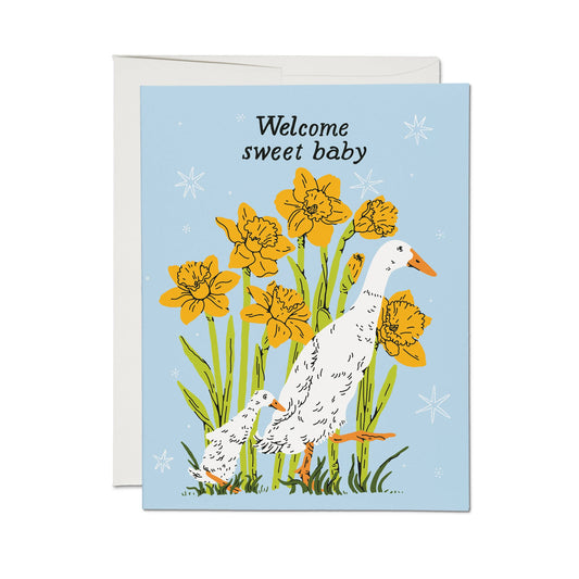 Baby Goose Cards