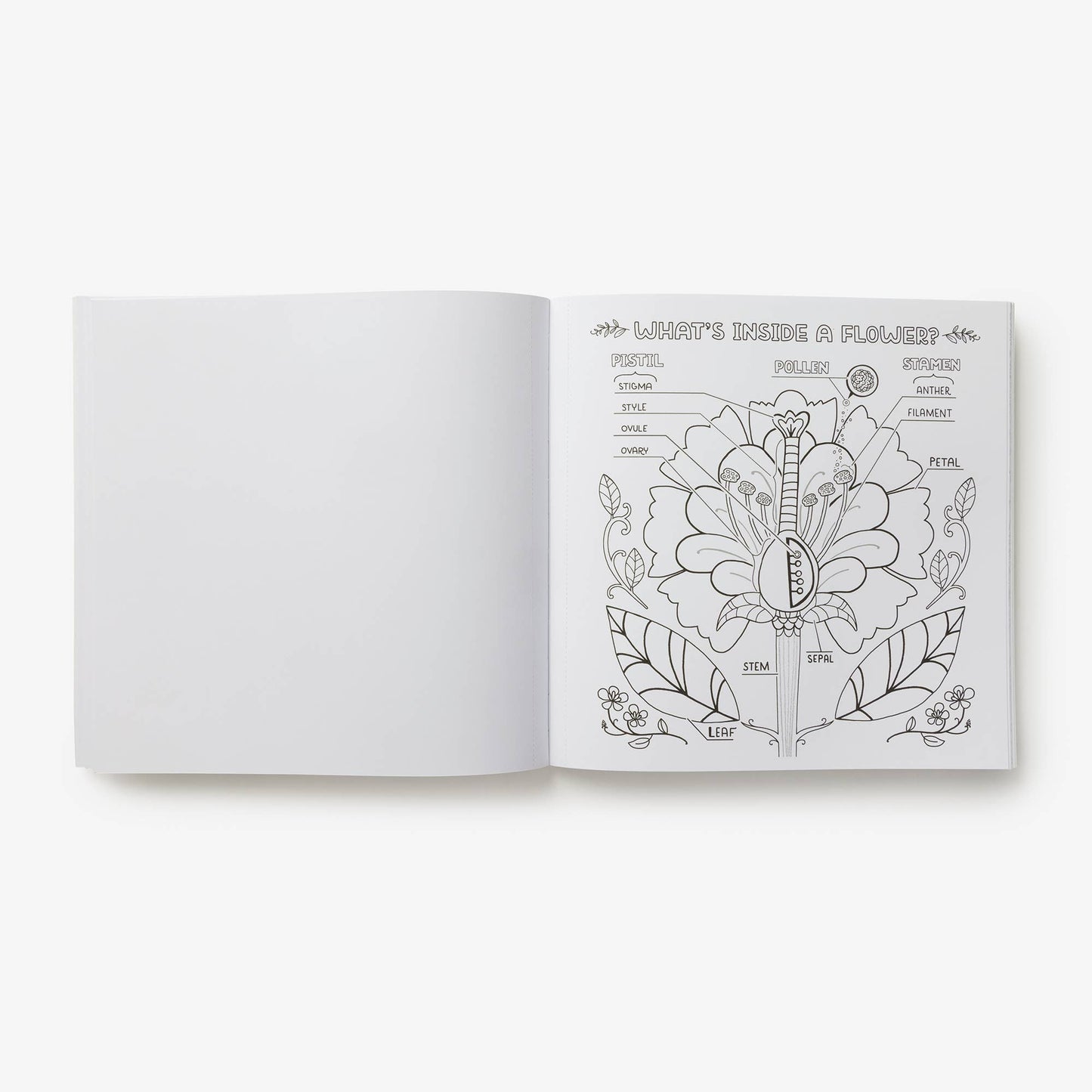 What's Inside Garden Coloring