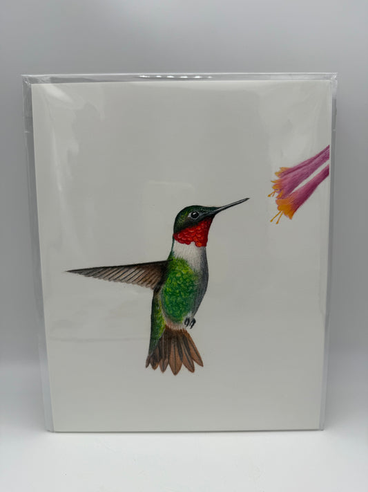 Hummingbird 8x10 Print