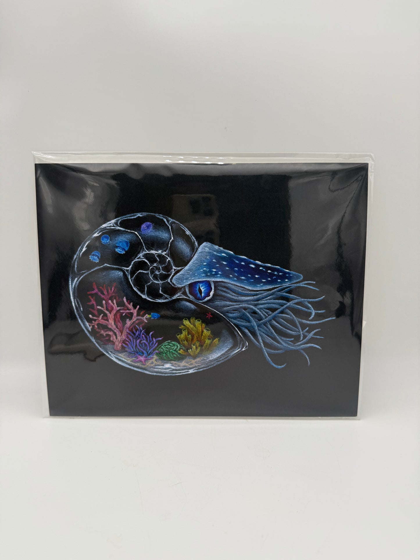 Glass Nautilus 8x10 Print