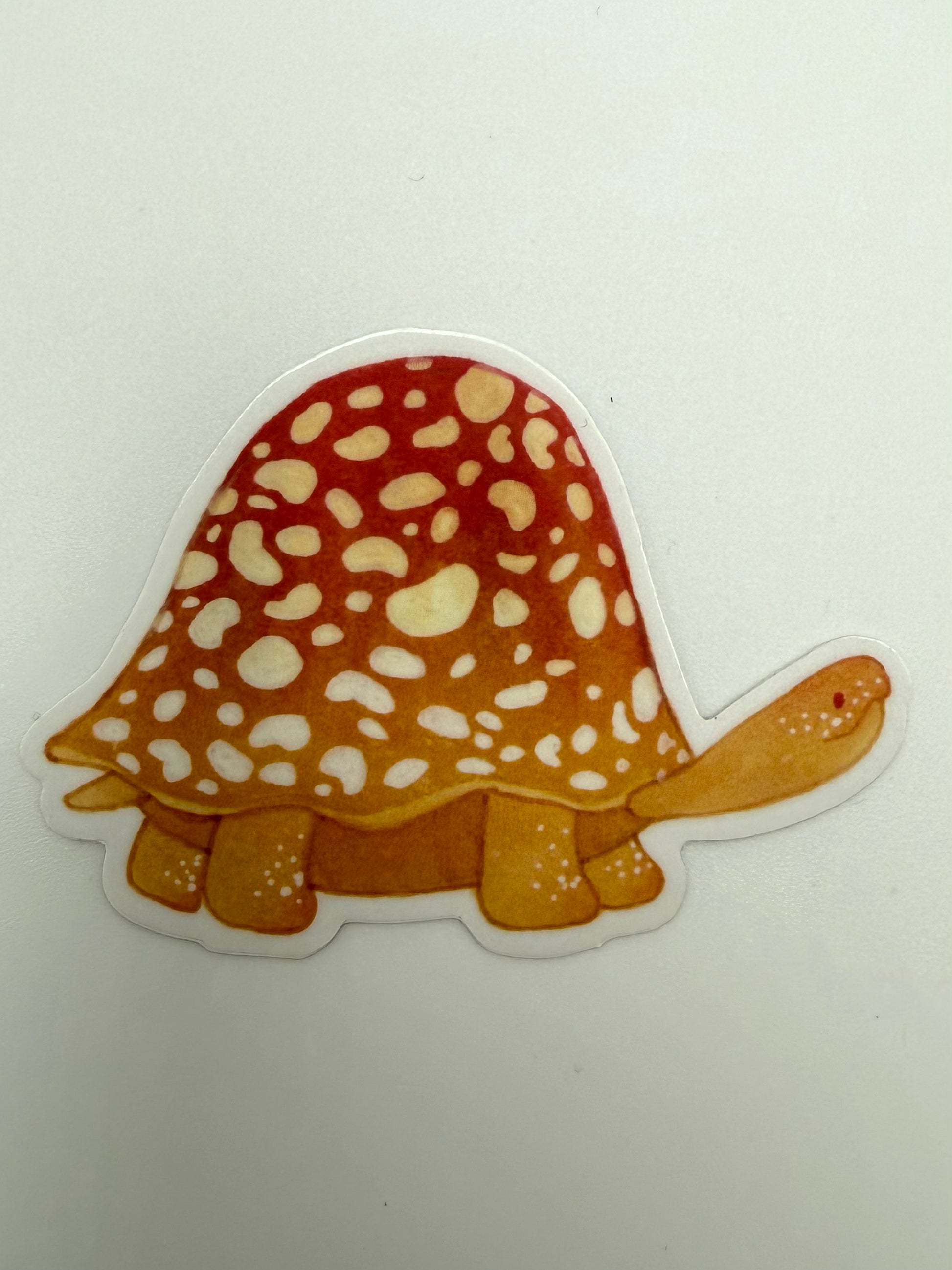 Sticker of a tortoise with a spotted shell on a white background