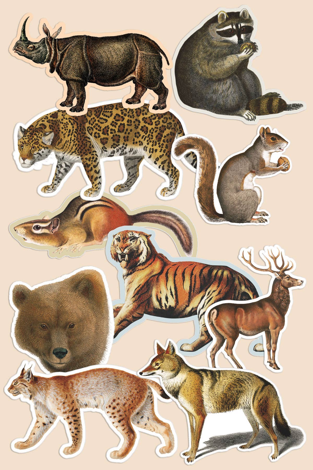 Vintage Art Stickers Bird World
