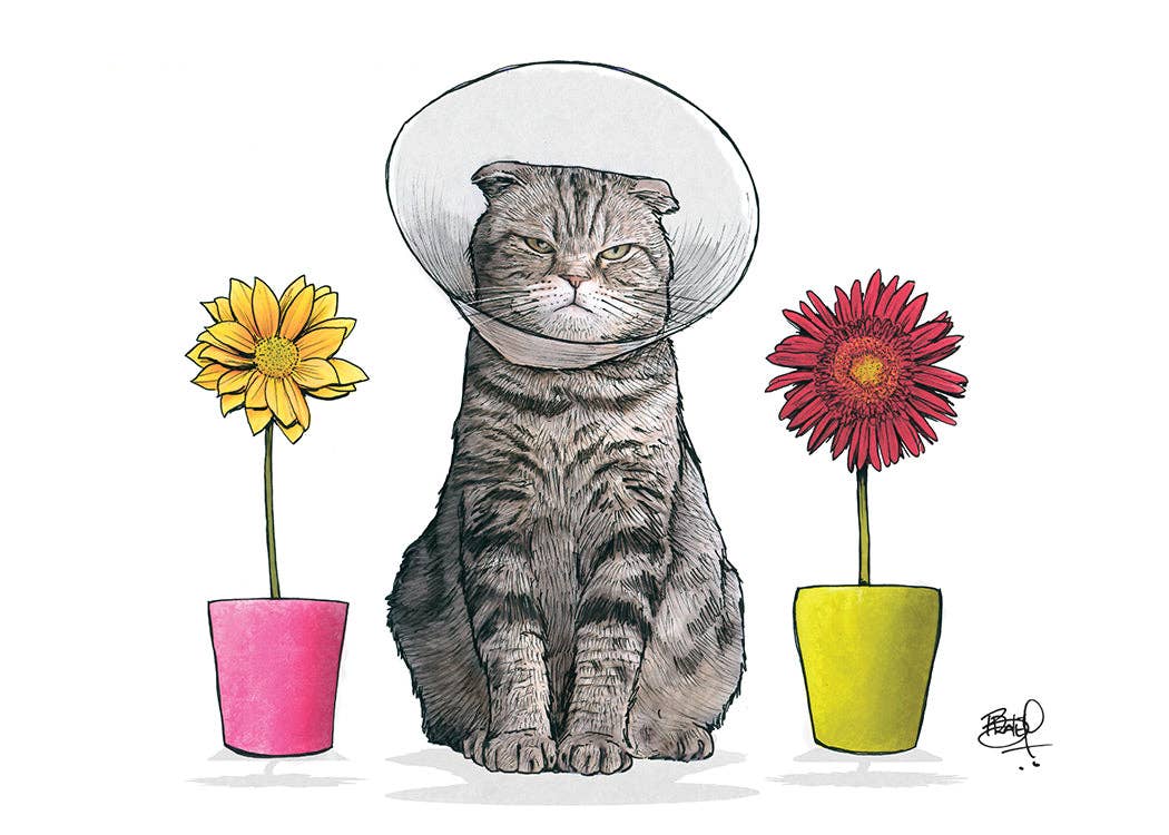 Sour Flower #160: Single Card