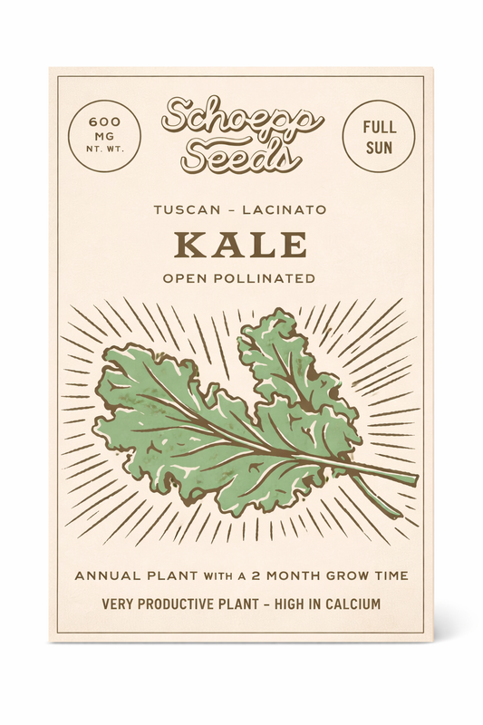 Kale, Lacinato Heirloom Garden Seed Packets: Kale, Lacinato Seed Packets