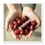 Black Cherry Lip Balm - The Regal Find