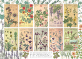 Botanicals by Verneuil - 1000 Piece Puzzle - The Regal Find