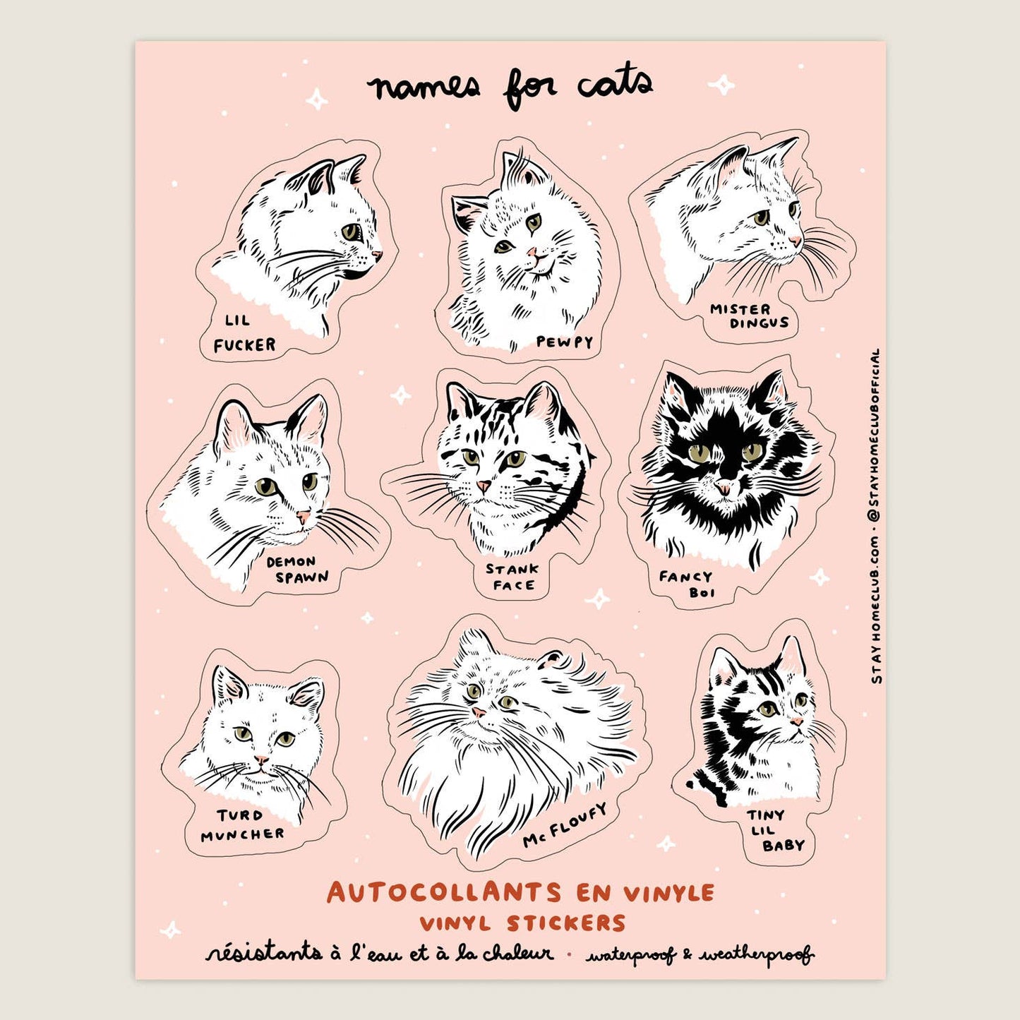 Names for Cats Mega 8" x 10" Vinyl Sticker Sheet