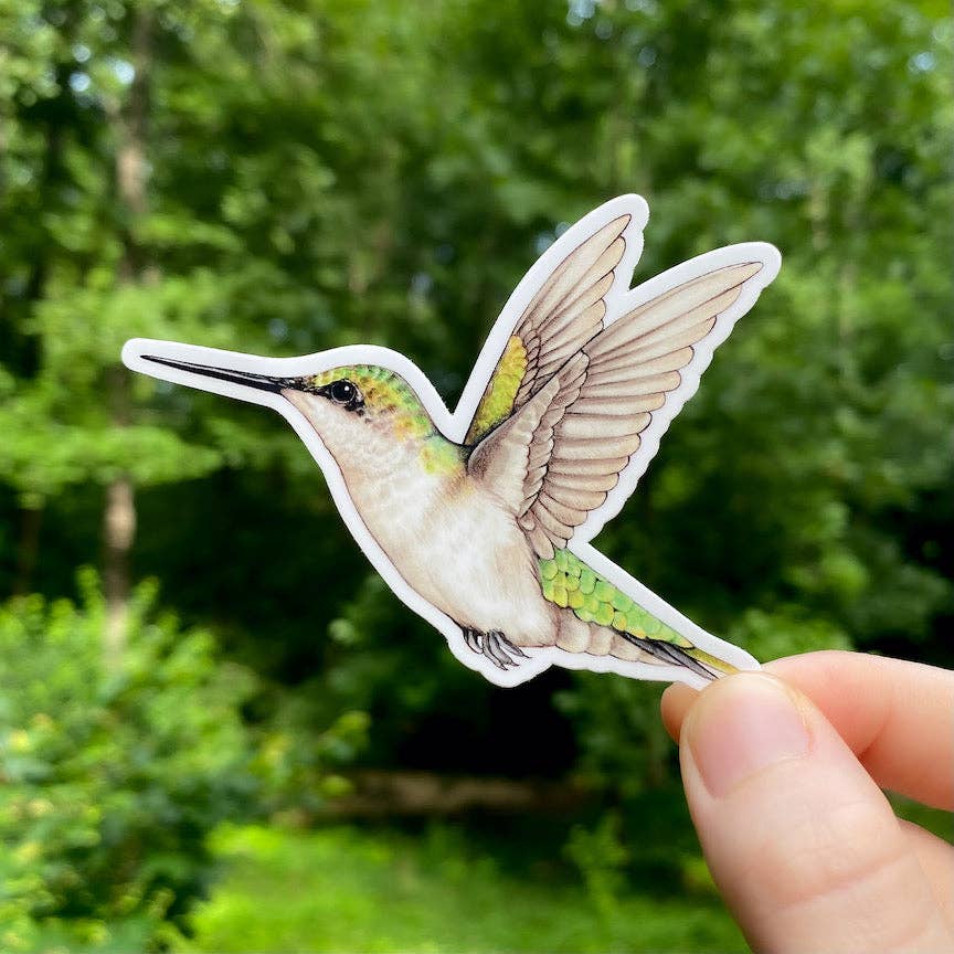 Female Ruby-Throated Hummingbird Weatherproof Vinyl Sticker
